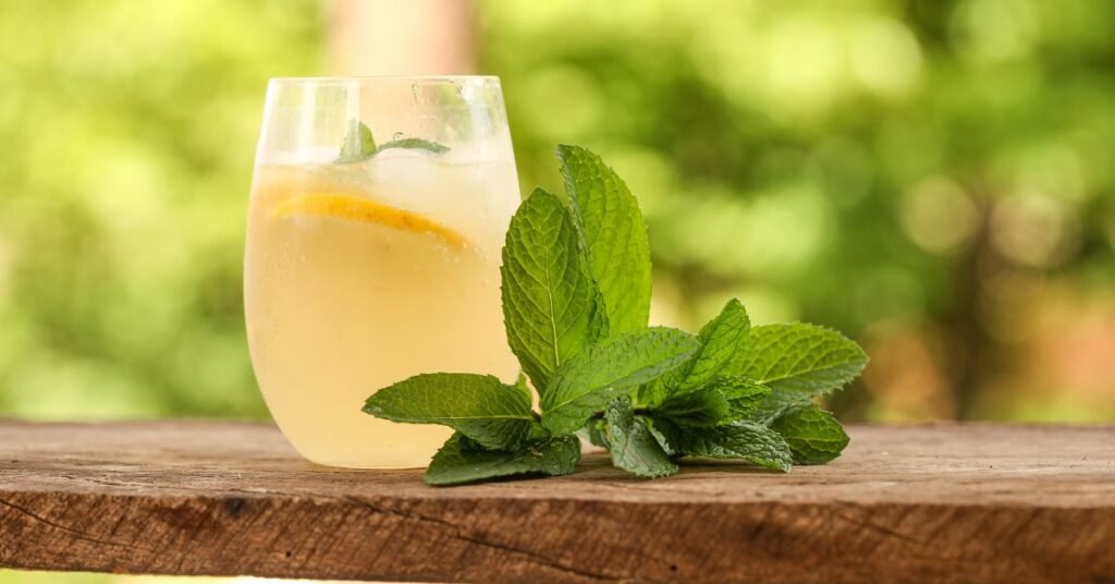  The Summer Iced Lemon Balm Cooler