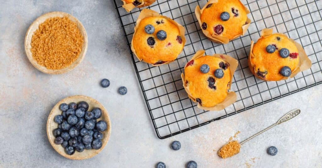 Blueberry Burst Protein Muffins